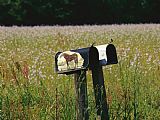 Pair Prints - A Pair of Mailboxes Set on The Edge of a Field of Wildflowers by Raymond Gehman