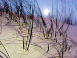 Raymond Gehman A View of a Full Moon Rising Above a Sand Dune