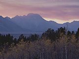 Aspen Prints - Aspens Grand Teton National Park Wyoming by Raymond Gehman
