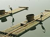 Calm Prints - Bamboo Rafts with Heron Artwork And Baskets on a Calm Lake by Raymond Gehman