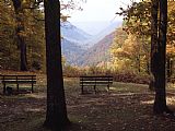 Raymond Gehman Benches Beckon Rest And Provide a Scenic View of Manns Creek Gorge