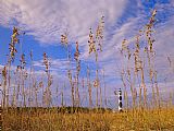 Raymond Gehman Cape Lookout Lighthouse Framed by Sea Oats Under a Cloudy Sky