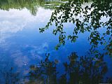 Raymond Gehman Clouds Blue Sky And Green Maple Leaves Reflected in The James River