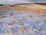 Raymond Gehman Corn Stubble in a Wintery Pennsylvania Landscape