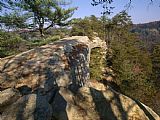 Arch Prints - Cumberland Plateau Seen From Sky Bridge a 75 Foot Long Sandstone Arch by Raymond Gehman