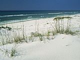 Raymond Gehman Dune Grasses Hold White Sand in Place Along a Stretch of Beach painting