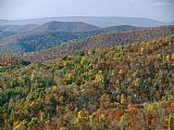 Raymond Gehman Fall Colors in Forests Along Tanners Ridge with View of Massanutten Mountain