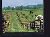 Raymond Gehman Farm Scene with Horses Grazing in Fenced Green Fields Near a Barn