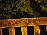 Quiet Prints - Graffiti Carved Into a Bench at The Quiet Garden by Raymond Gehman