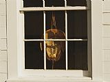 Shell Prints - Horseshoe Crab Shell Hanging in a Window by Raymond Gehman