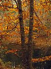 Raymond Gehman Leaves Fall From Beech Tree Along The Obed Wild And Scenic River