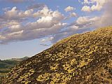 Raymond Gehman Lichen Covered Glacial Erratic Boulders