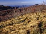 Raymond Gehman Max Patch And Distant Mountains in Autumn Colors