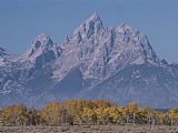 Aspen Prints - Mountain Landscape with Aspen Trees in Autumn Hues by Raymond Gehman
