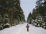 Walking The Plank Prints - Polish Child Walking on a Snowy Road in Bialowieza Forest by Raymond Gehman
