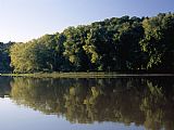 Raymond Gehman Scenic View of The Cumberland River And Trees Along The Shore