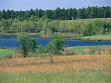 Raymond Gehman Serene Lake with Trees And Grasslands