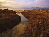 Between Geest And Marsh Prints - Tidal Creek Through Salt Marsh Grasses by Raymond Gehman