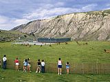 Raymond Gehman Tourists Photograph Elk Or Wapiti Cervus Elaphus in a Playground Area at Park Headquarters