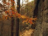Arch Prints - Trail Leading Up to a Natural Sandstone Arch by Raymond Gehman