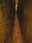 Arch Prints - Trail Through a Narrow Cleft in a 65 Foot High Sandstone Arch by Raymond Gehman