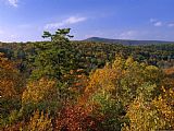 Raymond Gehman Trees on Mountainside in Autumn Hues