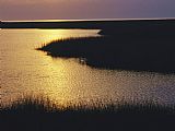 Between Geest And Marsh Prints - Twilight on a Marsh with Aquatic Grasses by Raymond Gehman