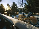 Raymond Gehman View Over a Snow Covered Railing of a Yard on a Sunny Winter Day