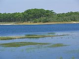 Raymond Gehman Water Logged Flood Plain Along a Forest Lined Waterway