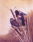 Song Prints - Song of the Marsh by Richard De Wolfe