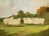 Richard Whitford Study of Sheep in a Landscape
