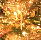 Robert Hallmann Christmas Lights