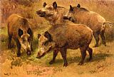 Rosa Bonheur Four Boars in a Landscape painting