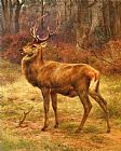 Rosa Bonheur Stag in an Autumn Landscape painting
