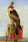 Sir Edwin Landseer Hooded Falcon
