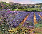 Easton Prints - Buddleia And Lavender Field Montclus by Timothy Easton