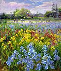 Timothy Easton Hoeing Team and Iris Fields