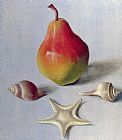 Tomar Levine Pear And Shells