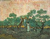 Vincent van Gogh The Olive Pickers painting