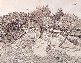 Vincent van Gogh The Olive Trees