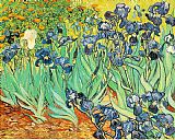 Vincent van Gogh Irises
