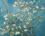 Vincent van Gogh Almond Blossoms