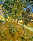 Vincent van Gogh Garden of Saint Paul's Hospital