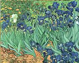 Vincent van Gogh Irises painting
