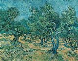Vincent van Gogh The Olive Grove
