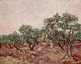 Vincent van Gogh The Olive Pickers