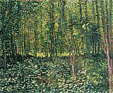 Vincent van Gogh Trees and Undergrowth painting