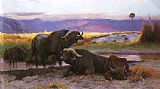 Wilhelm Kuhnert Buffalo Along The Riverbank