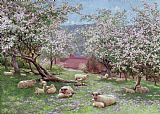 William Biscombe Gardner Appleblossom
