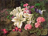 William Ford  Golden-rayed lily of Japan